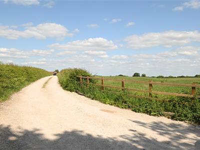 Picture 36